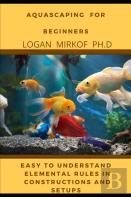 Aquascaping For Beginners
