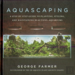 Bertrand.pt - Aquascaping
