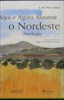 Aqui e Agora Assumir o Nordeste