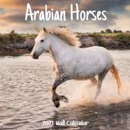 Arabian Horses 2021 Wall Calendar