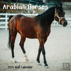 Bertrand.pt - Arabian Horses 2021 Wall Calendar