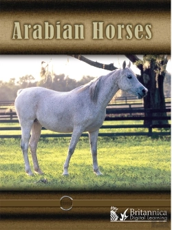Bertrand.pt - Arabian Horses
