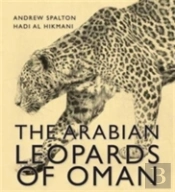 Arabian Leopard Of Oman