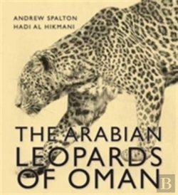 Bertrand.pt - Arabian Leopard Of Oman
