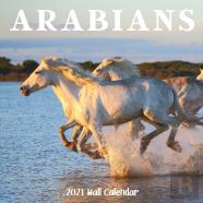 Arabians 2021 Wall Calendar
