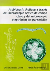 Arabidopsis Thaliana A Través Del Microscopio Óptico De Campo Claro Y Del Microscopio Electrónico De
