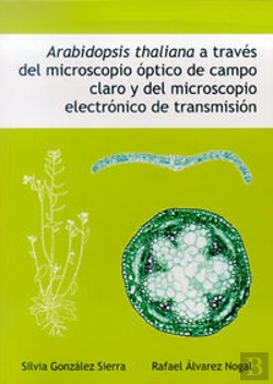 Bertrand.pt - Arabidopsis Thaliana A Través Del Microscopio Óptico De Campo Claro Y Del Microscopio Electrónico De