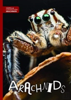 Bertrand.pt - Arachnids