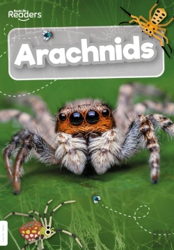 Bertrand.pt - Arachnids