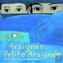 Bertrand.pt - Araignée, Petite Araignée