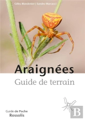 Araignées, Guide De Terrain