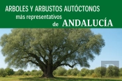 Árboles Y Arbustos Autóctonos Más Representativos De Andaluc