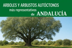 Bertrand.pt - Árboles Y Arbustos Autóctonos Más Representativos De Andaluc