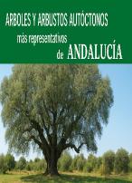 Árboles Y Arbustos Autóctonos Más Representativos De Andaluc