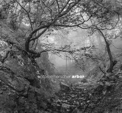 Bertrand.pt - Arbor ; Les Arbres Prennent La Pose