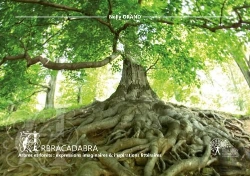 Bertrand.pt - Arbracadabra : Arbres Et Forets, Expressions Imaginaires & Inspirations Litteraires