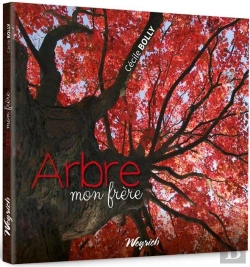 Bertrand.pt - Arbre Mon Frere