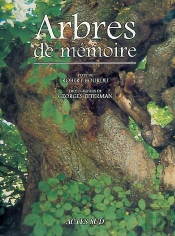 Arbres De Mémoire