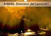 Arbres Douceur De L Ombre Calendrier Mural 2018 Din A4 Horizontal