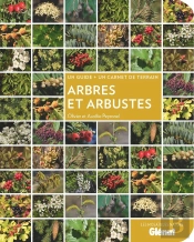 Arbres Et Arbustes
