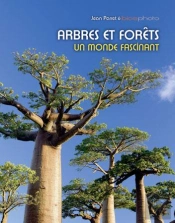 Arbres Et Forêts ; Un Monde Fascinant