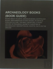 Archaeology Books: The Bible Unearthed,