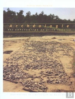 Bertrand.pt - Archeologie Des Sanctuaires En Gaule
