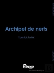 Archipel De Nerfs