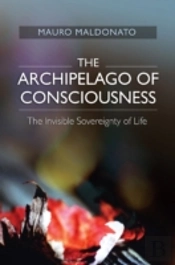 Archipelago Of Consciousness