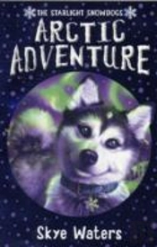 Arctic Adventure