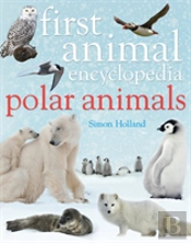 Arctic And Antarctic