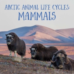 Bertrand.pt - Arctic Animal Life Cycles: Mammals