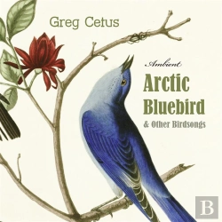 Bertrand.pt - Arctic Bluebird And Other Birdsongs