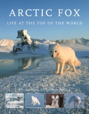 Arctic Fox