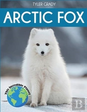 Arctic Fox