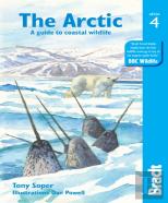 Arctic