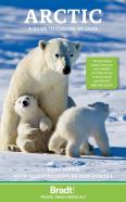 Arctic