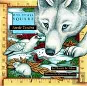 Arctic Tundra