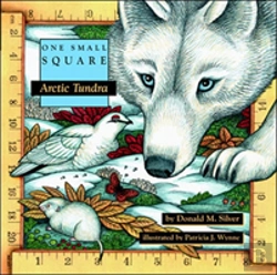 Bertrand.pt - Arctic Tundra