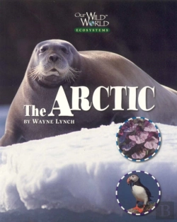 Bertrand.pt - Arctic