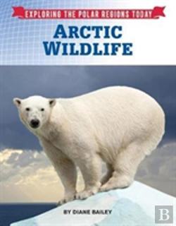 Bertrand.pt - Arctic Wildlife