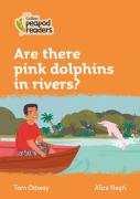 Are There Pink Dolphins In Rivers?