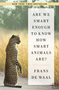 Bertrand.pt - Are We Smart Enough To Know How Smart Animals Are?