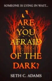 Are You Afraid Of The Dark?