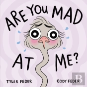 Are You Mad At Me?