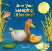 Are You Sleeping Little One
