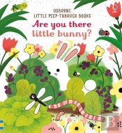Are You There Little Bunny
