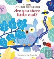 Are You There Little Owl?
