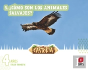 Areas Integradas. 2 Infantil. Tercer Trimestre. Castoria