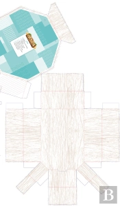 Areas Integradas. 3 Infantil. Castoria